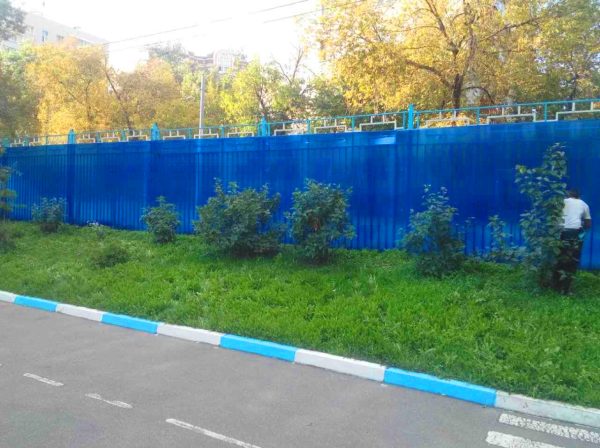 Забор с синим поликарбонатом